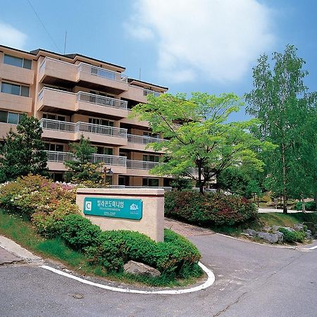 Yongpyong Resort Villa Condominium Pchjongčchang Exteriér fotografie